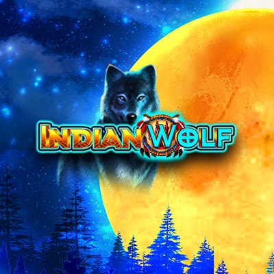 Indian Wolf